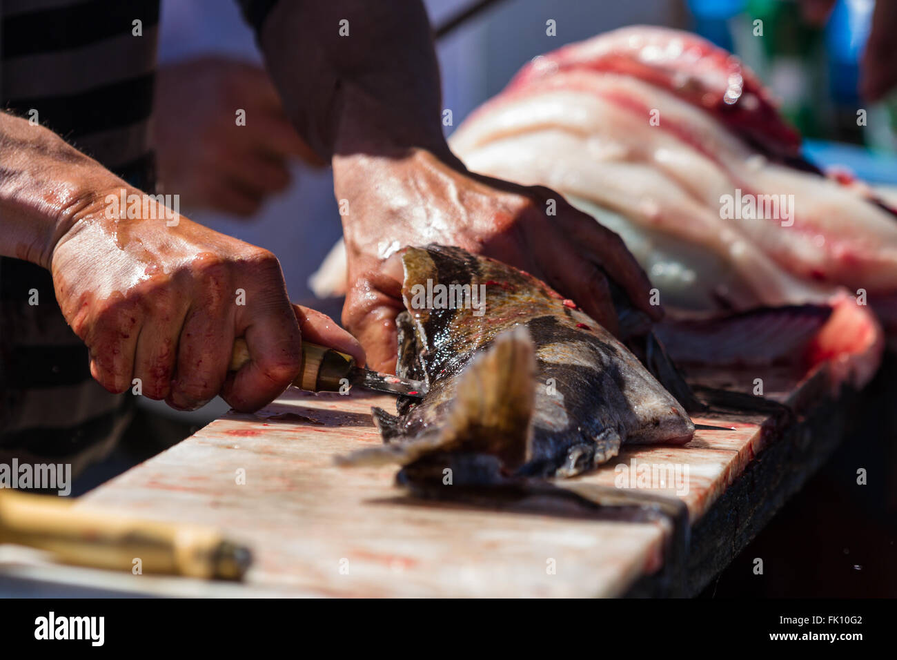 Nahaufnahme von einem mans Hand mit Geschick und einem scharfen Messer sauber frisch gefangener Fisch in Kalifornien Stockfoto