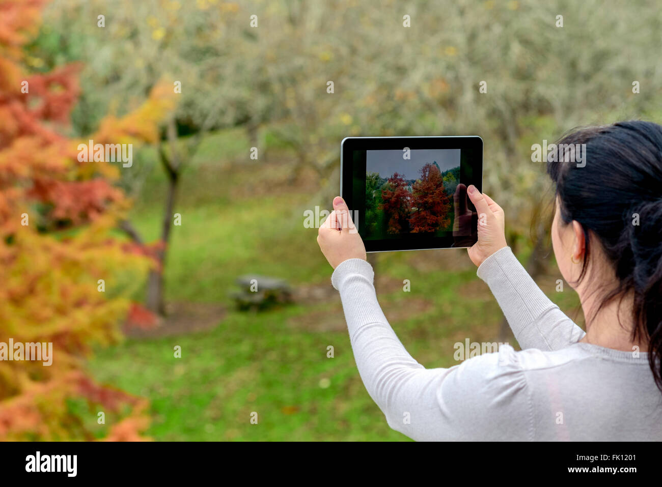 Frau mit Tablet im Herbst Park fotografieren Stockfoto
