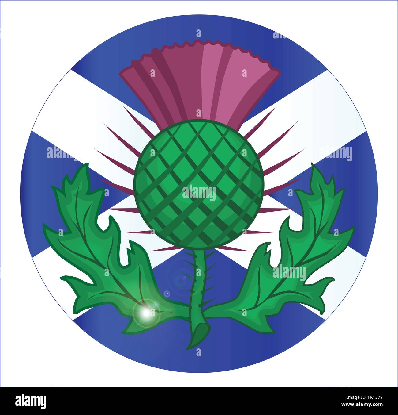 Die offizielle Flagge für Schottland als eine Schaltfläche oder ein Abzeichen mit einem traditionellen Distel-Symbol Stock Vektor