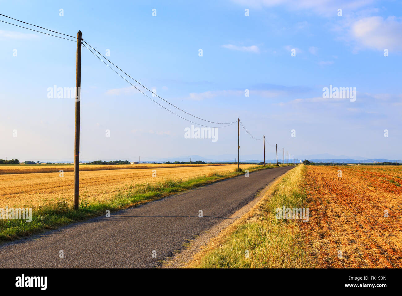 Landstraße durch Ackerland in der Nähe von Valensole, Provence-Frankreich Stockfoto