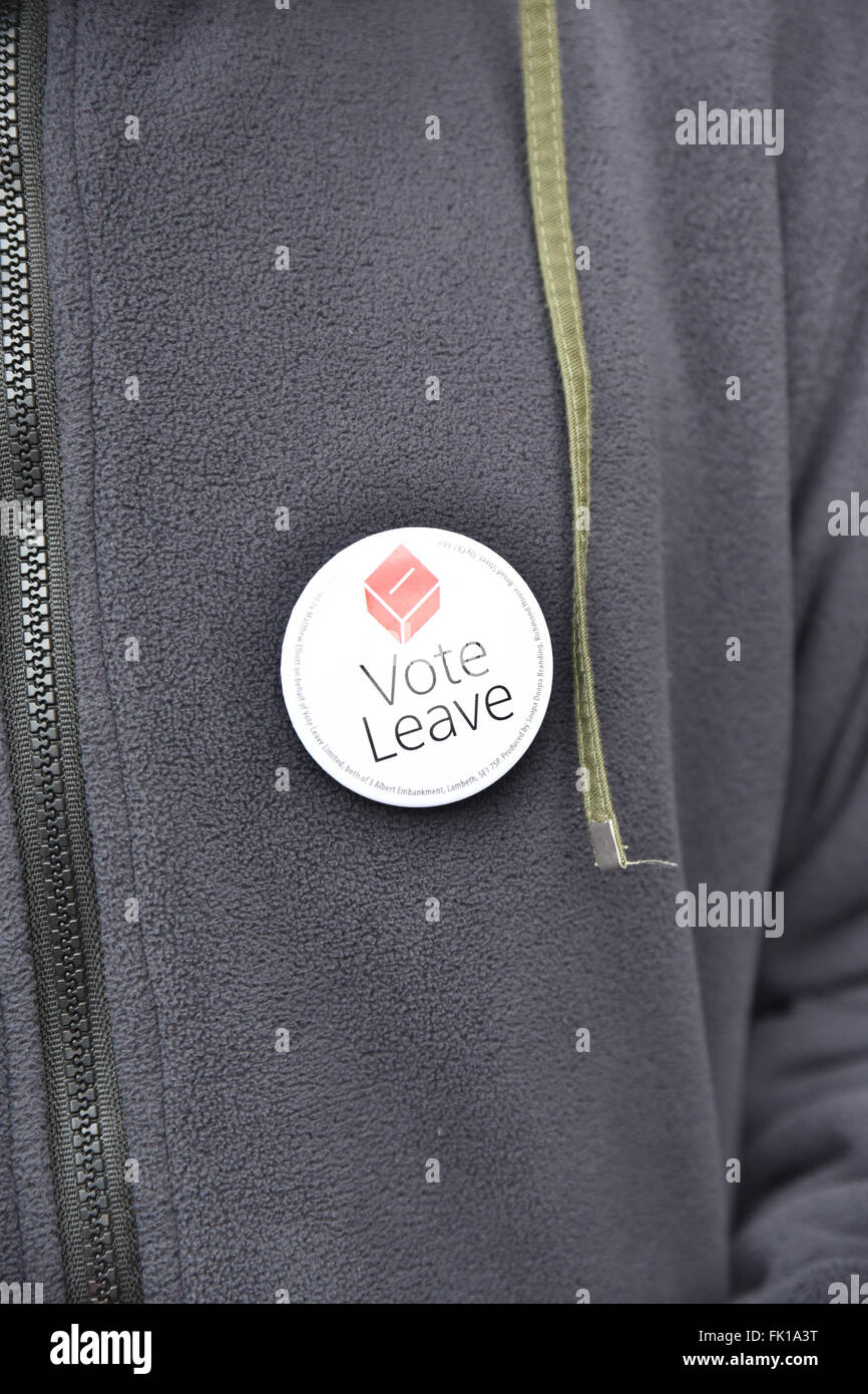 Twickenham, London, UK. 5. März 2016. EU und UKIP Hand Flugblättern zu verlassen. Breitensport, Aktionstag, Kampagne, um die EU verlassen Stockfoto