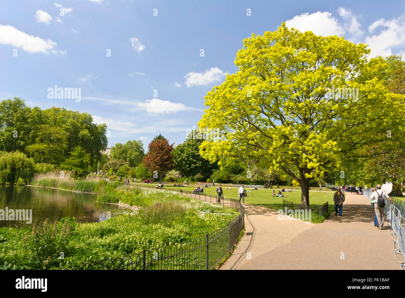 St James Royal Park, ein berühmter Park im Zentrum von London und der älteste der königlichen Parks in London, Vereinigtes Königreich. Stockfoto