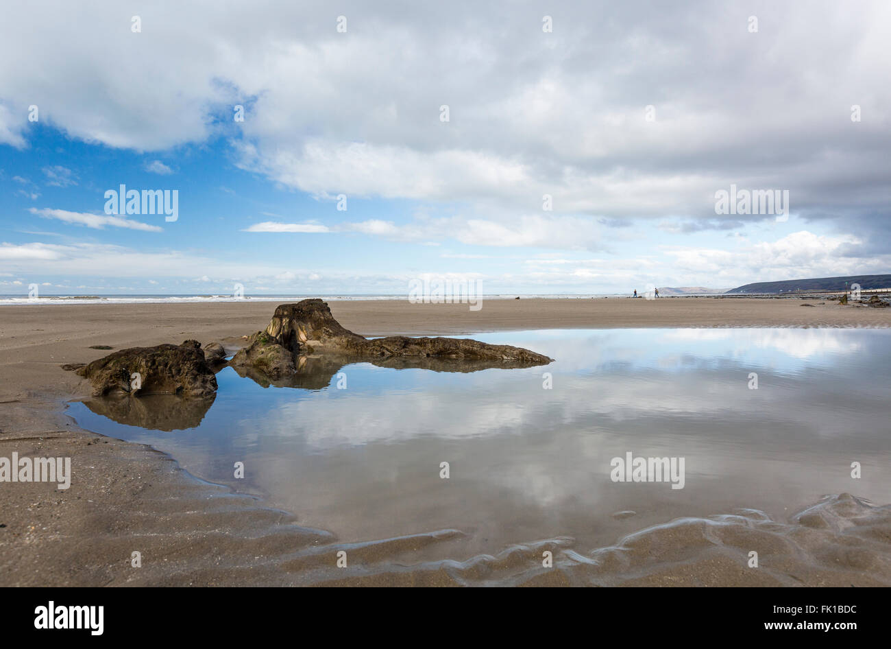 Der versunkene Wald am Borth, Ceredigion. Der Wald führten zu die Legende von Cantre'r Gwaelod Stockfoto