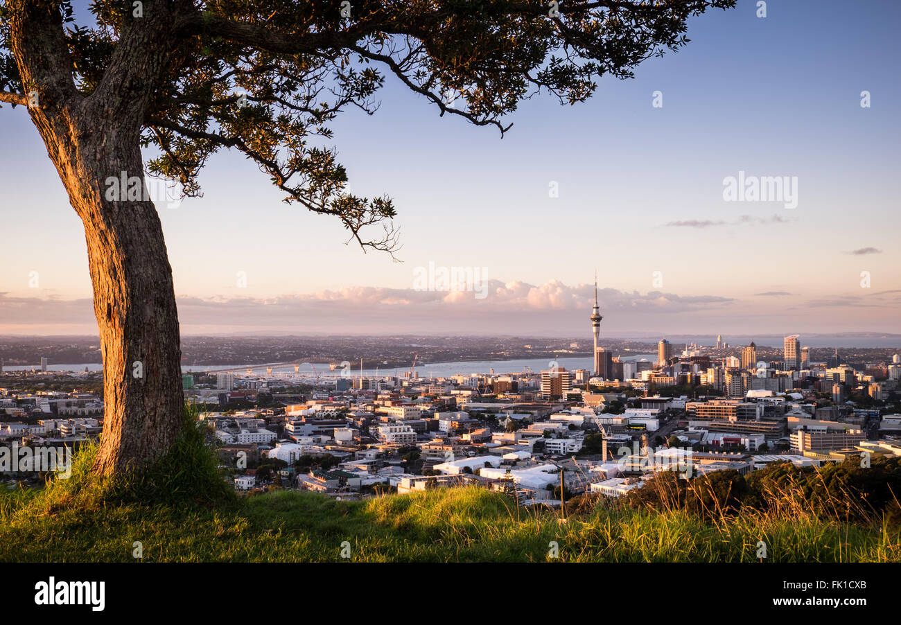 Ein Blick Auckland bei Sonnenuntergang aus dem Überrest-Vulkan Mt. Eden. Stockfoto
