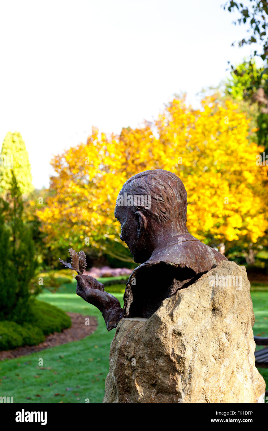 Bronze-Büste von Sir Harold Hillier, Gründer von Sir Harold Hillier Gardens, Romsey, Hampshire, England, UK Stockfoto