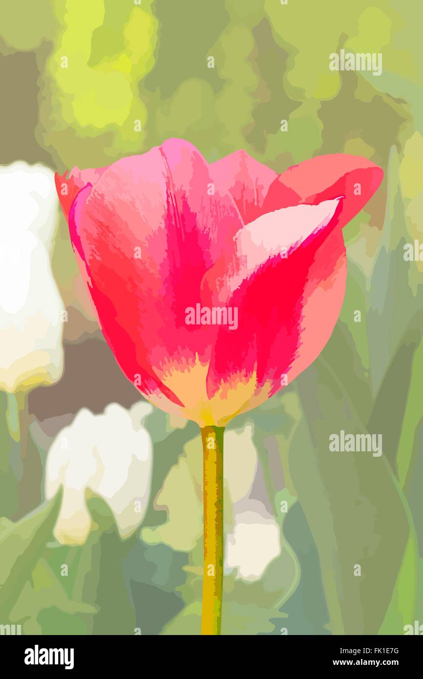 Vektor-Illustration von Frühlingsblumen, Tulpen auf grünem Hintergrund Stock Vektor