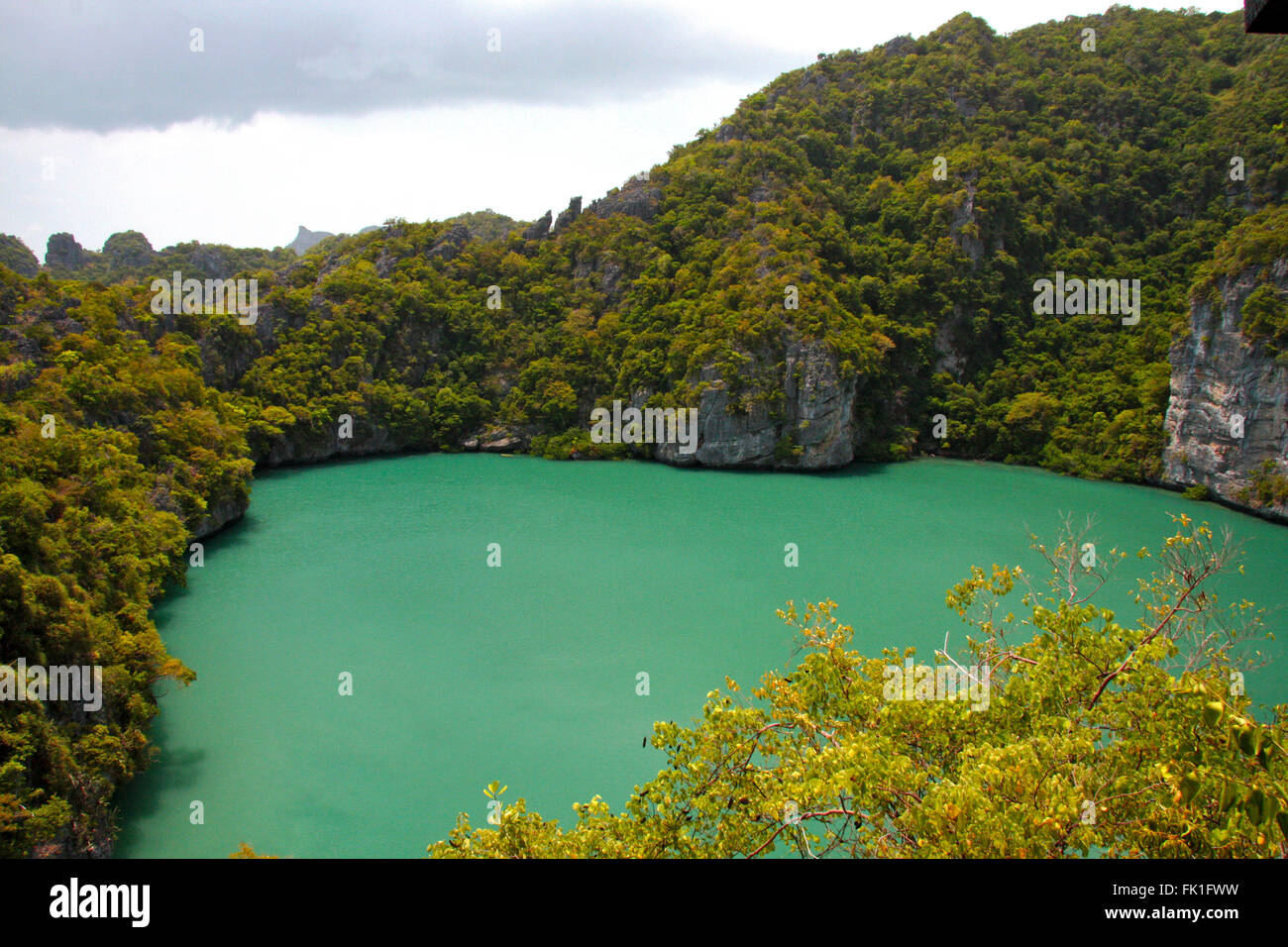 blaue Lagune, Thailand, Angthong National marine Park, Wasser, Vegetation, grün Stockfoto