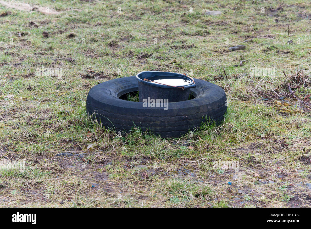 Alte Reifen zum Schutz von Wasser-Eimer in ländlicher Lage Stockfoto