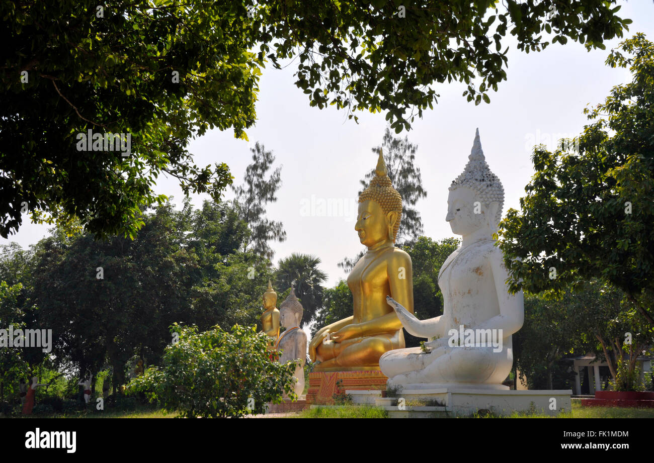 Bereich der Buddhastatuen im Wat Phai Rong Wua, Suphanburi, Thailand. Stockfoto