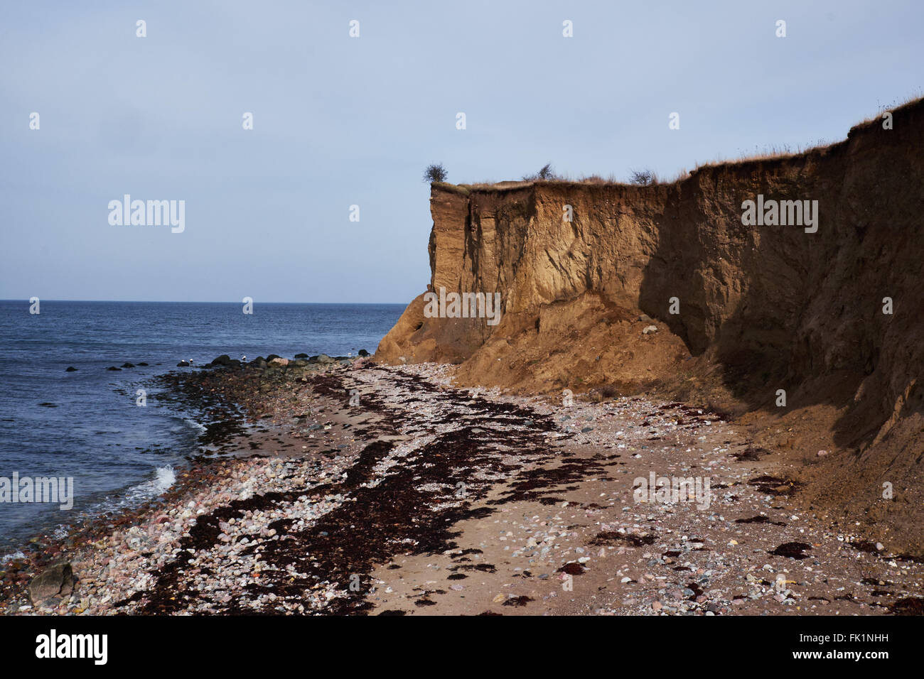Hohen senkrechten Böschung aus Lehm an der Küste in der Nähe der großen-Belt-Brücke Stockfoto