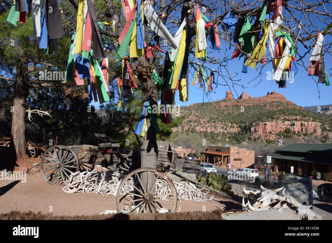 Sedona Wagenräder Büffel Schädel roten Felsen Hintergrund blauer Himmel Geweih Stockfoto