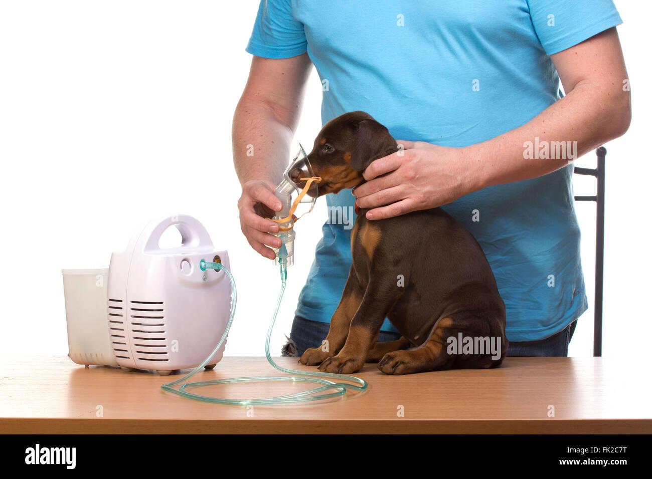 Glücklich Erwachsenen Arzt mit Vernebler Maske für Atemwege Inhalator Hund  Behandlung isoliert auf weißem Hintergrund Stockfotografie - Alamy