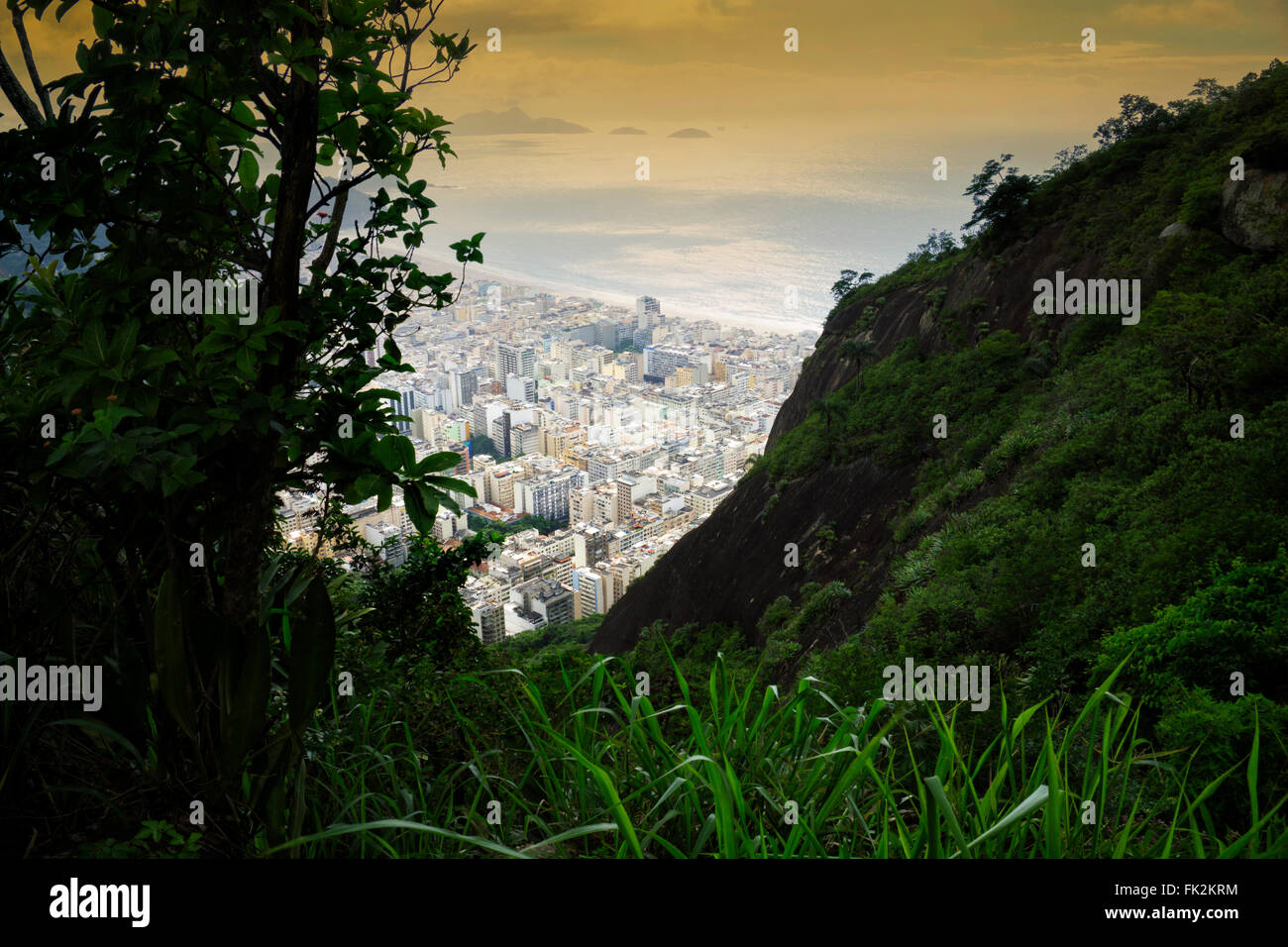 Copacabana aus dem Regenwald in Rio Stockfoto