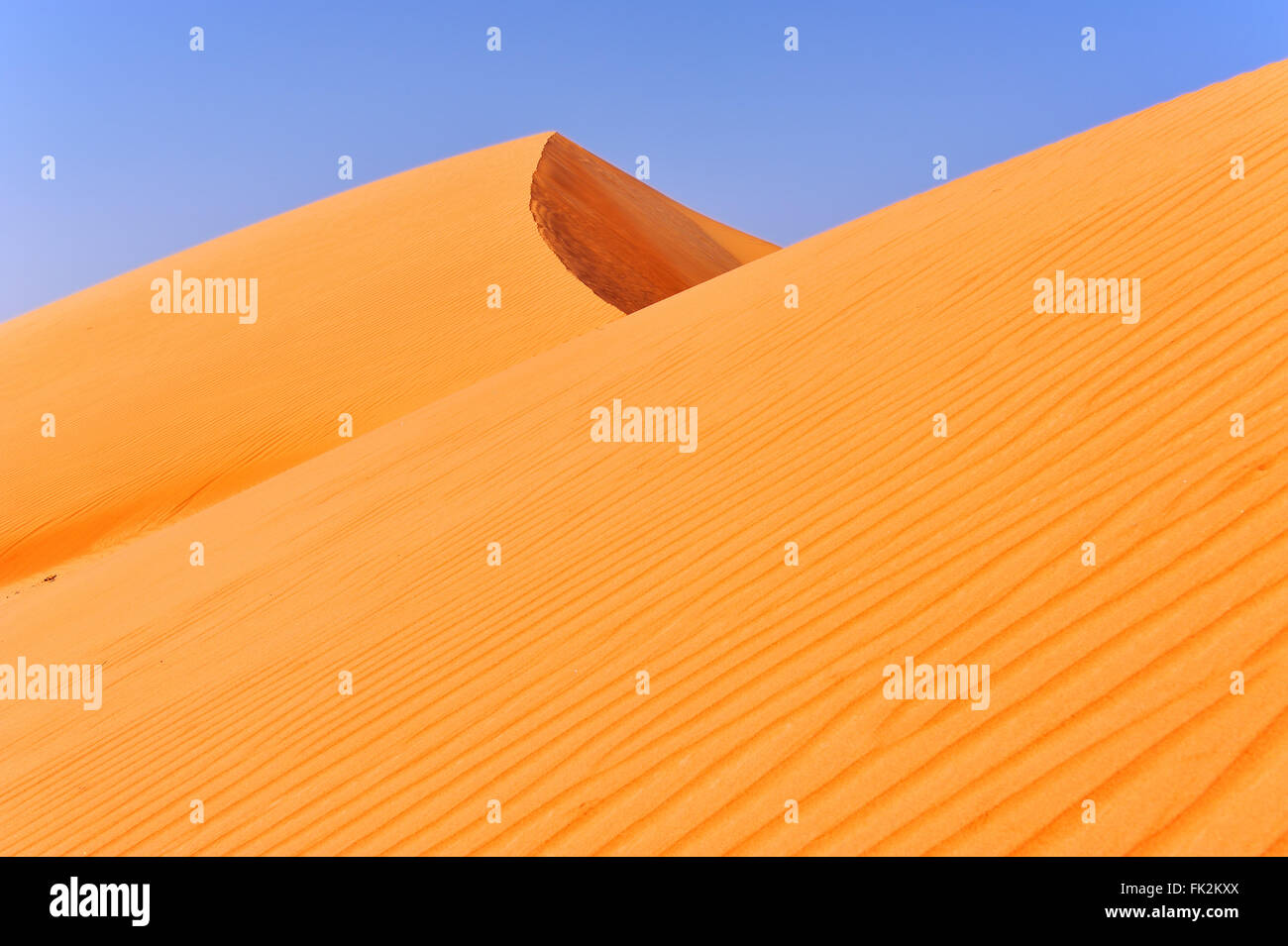 Dünen in Sharqiya Sand, Wüste des Oman Stockfoto