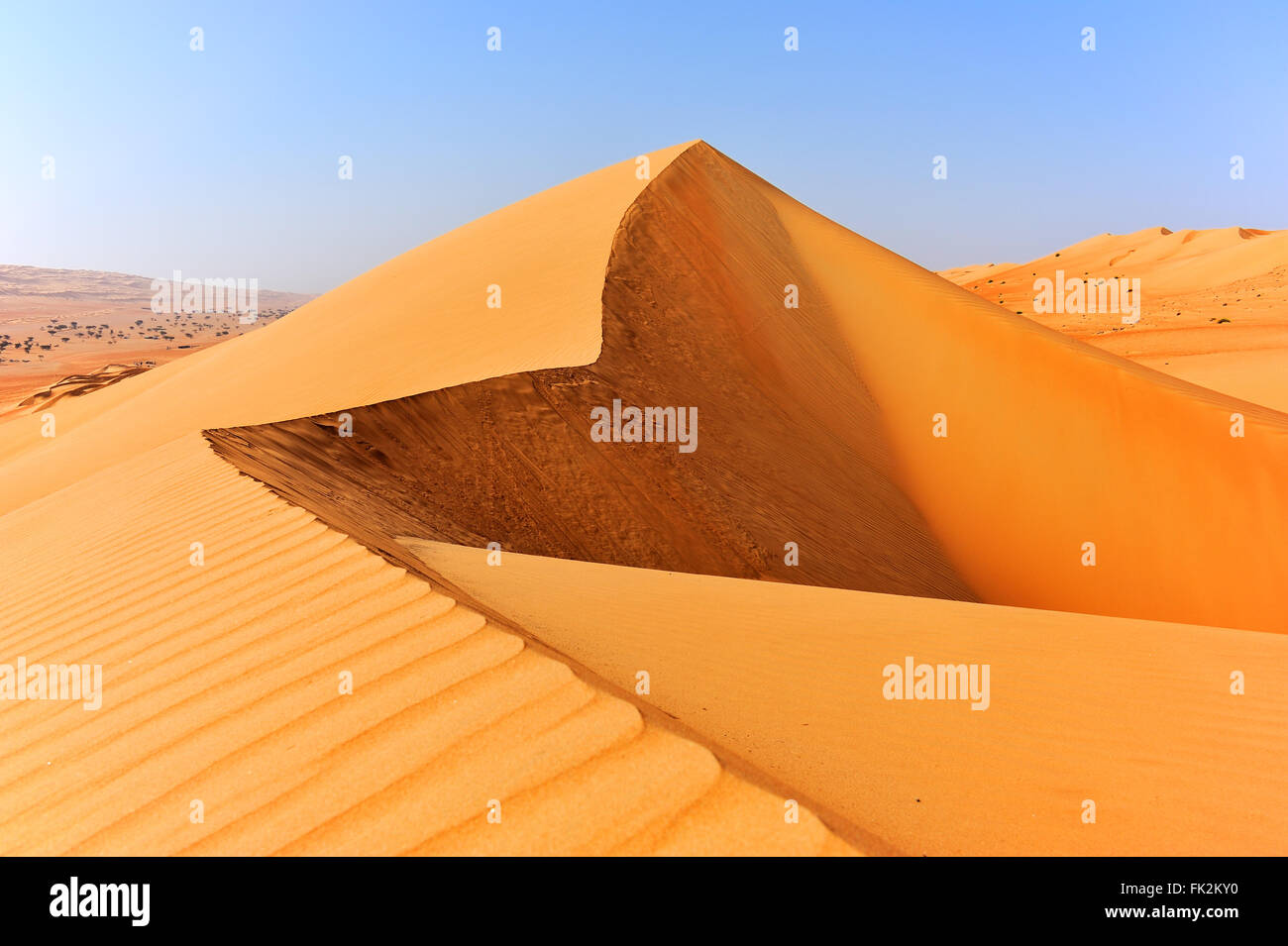 Dünen in Sharqiya Sand, Wüste des Oman Stockfoto