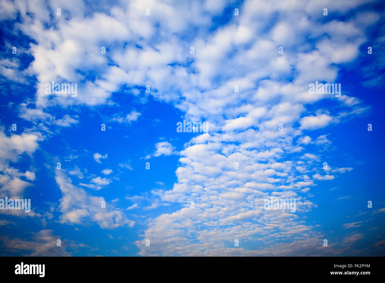 Die Wolken am blauen Himmel, Taipei, Taiwan Stockfoto