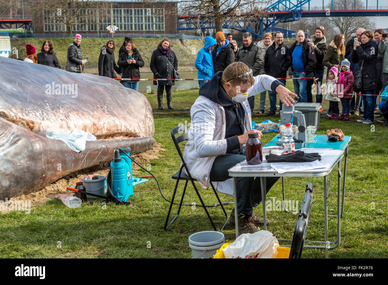 Gestrandeten Wal, eine Kunstperformance während der Duisburger Akzente, ein Kunstfestival in Duisburg, Deutschland, am Rhein, Stockfoto