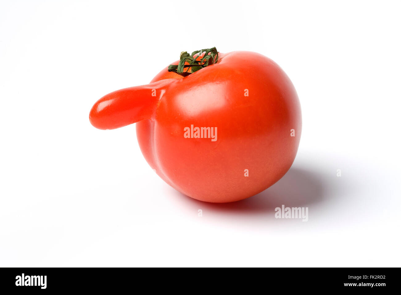 Porträt einer Tomate mit einer großen Nase auf weißem Hintergrund Stockfoto