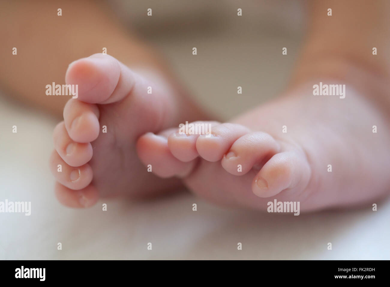 Niedliche kleine neugeborenes Baby Füße Stockfoto