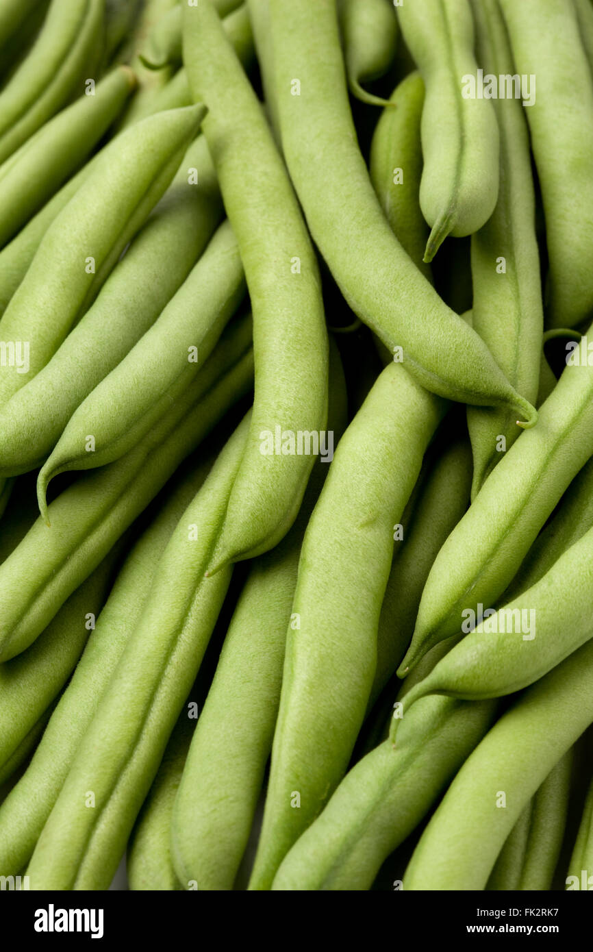 Frische rohe grüne Bohnen oder Französisch Bohnen full-frame Stockfoto