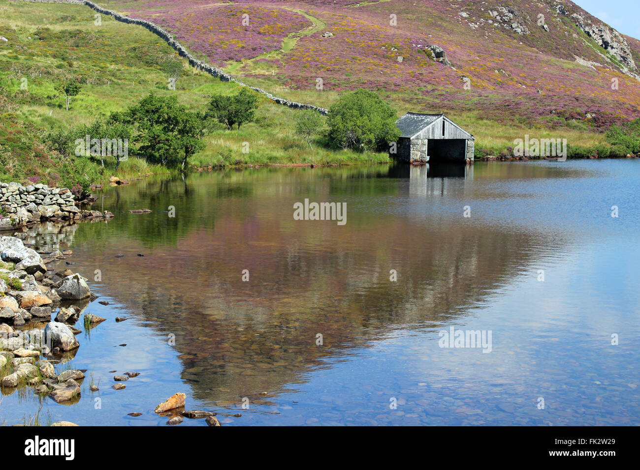 Landschaft um den See Cregennan und Cadair Idris Gwynedd Wales Stockfoto