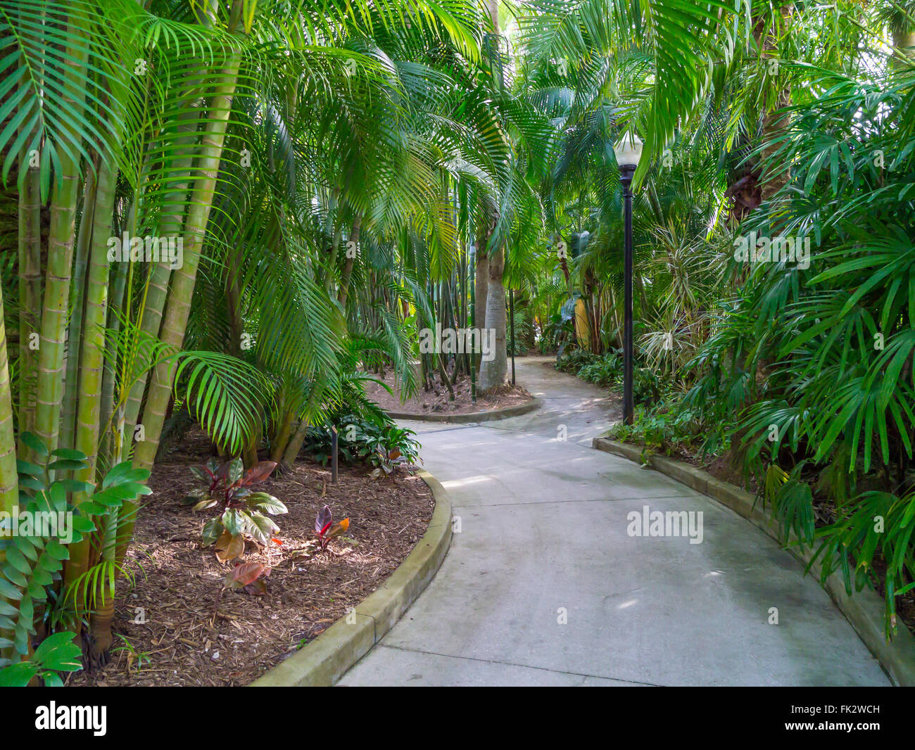 Pfad in versunkenen Gärten in Sankt Petersburg Florida Stockfoto