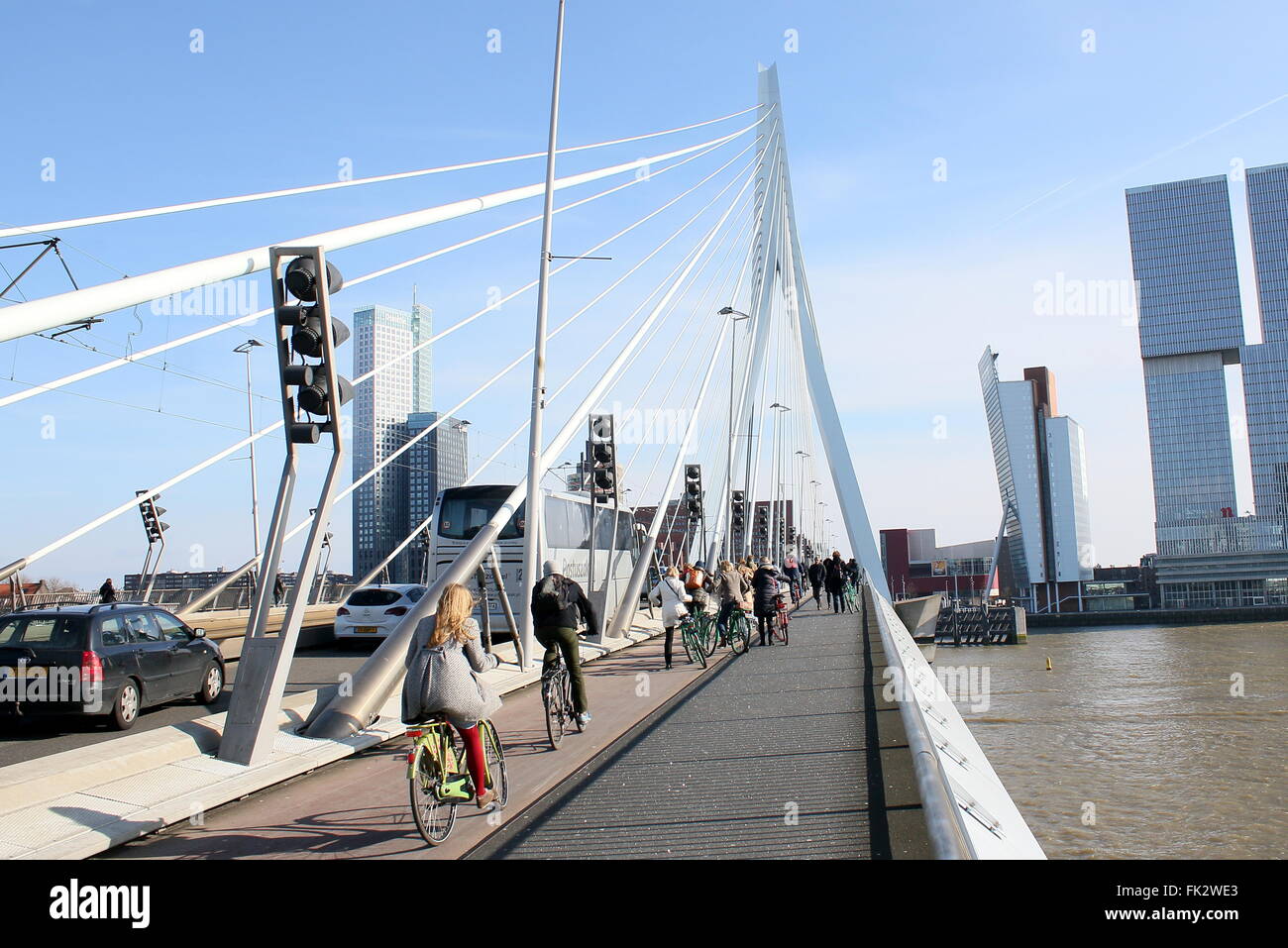 Radfahrer über die legendäre Erasmus Brücke (Erasmusbrücke), Rotterdam, Niederlande. Entworfen von Ben van Berkel, UNStudio, 1996 Stockfoto