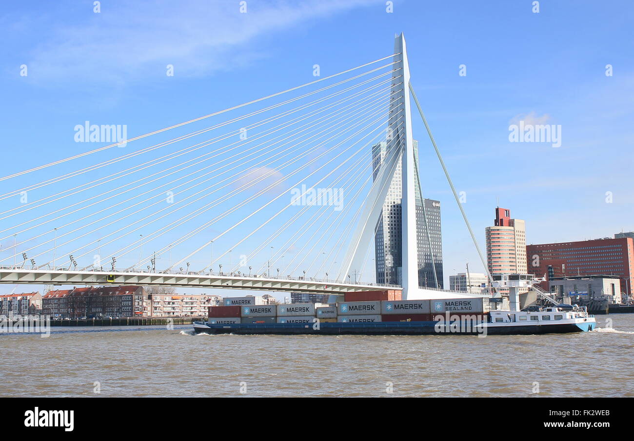 Berühmten Erasmus-Brücke (Erasmusbrücke), Rotterdam, Niederlande Entworfen von Ben van Berkel, UNStudio, 1996 Stockfoto