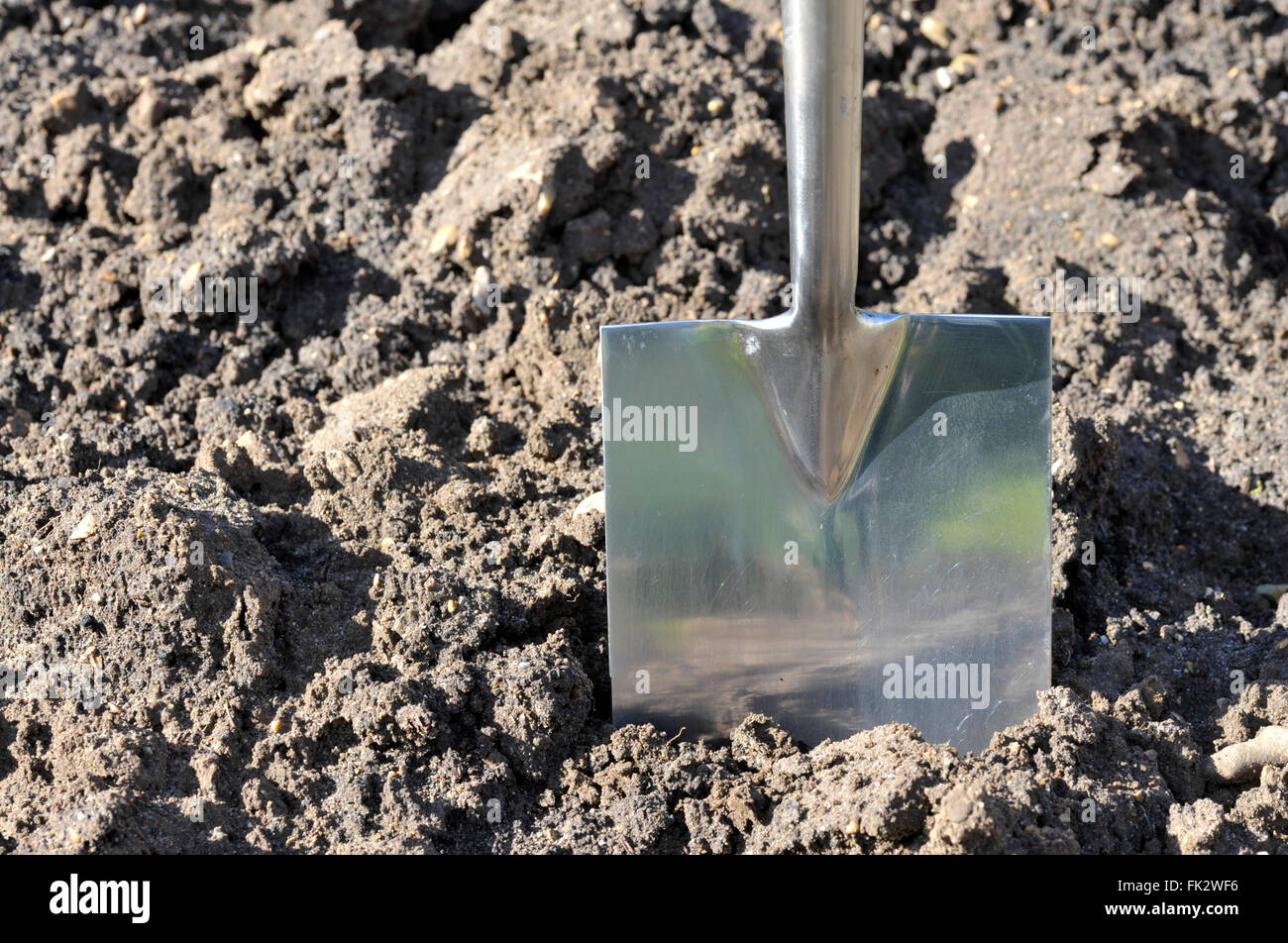 Bodenbearbeitung durch das Graben mit einem Garten Spaten. Stockfoto
