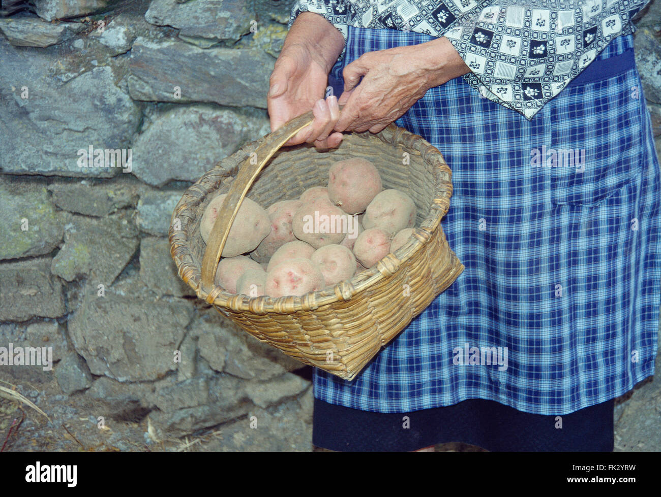 Alte Frau, die trägt eines Korb mit Kartoffeln. Ibias, Asturien, Spanien. Stockfoto