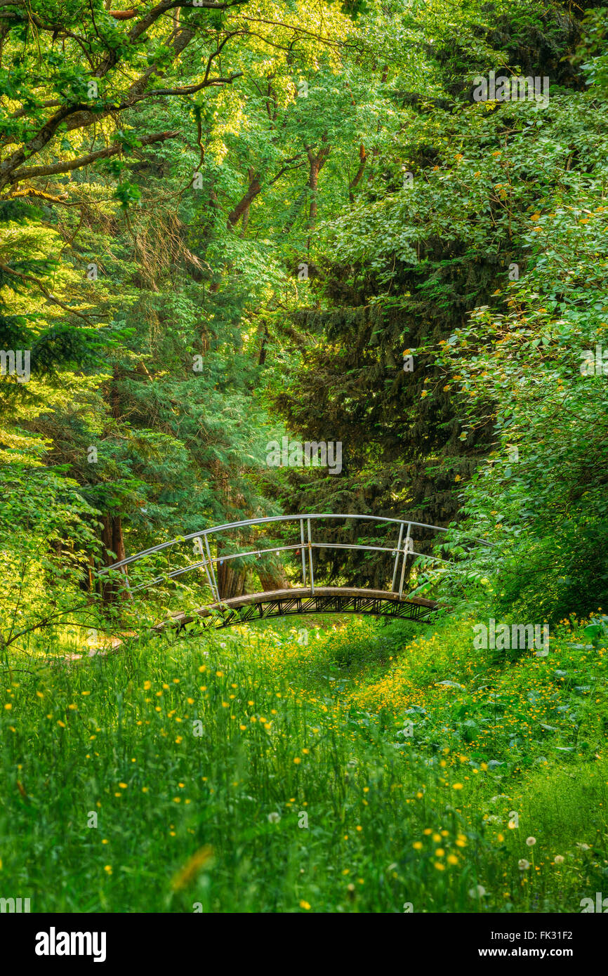 Schöne alte kleine dekorative Brücke im Sommer Garten Waldpark. Gartengestaltung, Landschaftsbau. Stockfoto