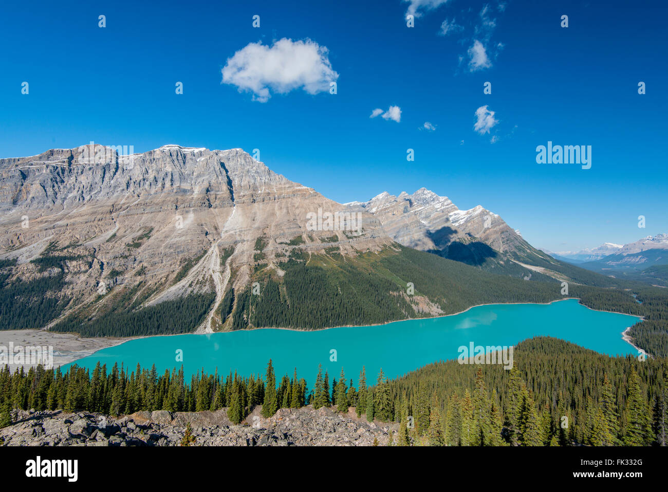 Türkis Gletscher Peyto Lake, Banff Nationalpark, Kanadische Rockies, Provinz Alberta, Kanada Stockfoto