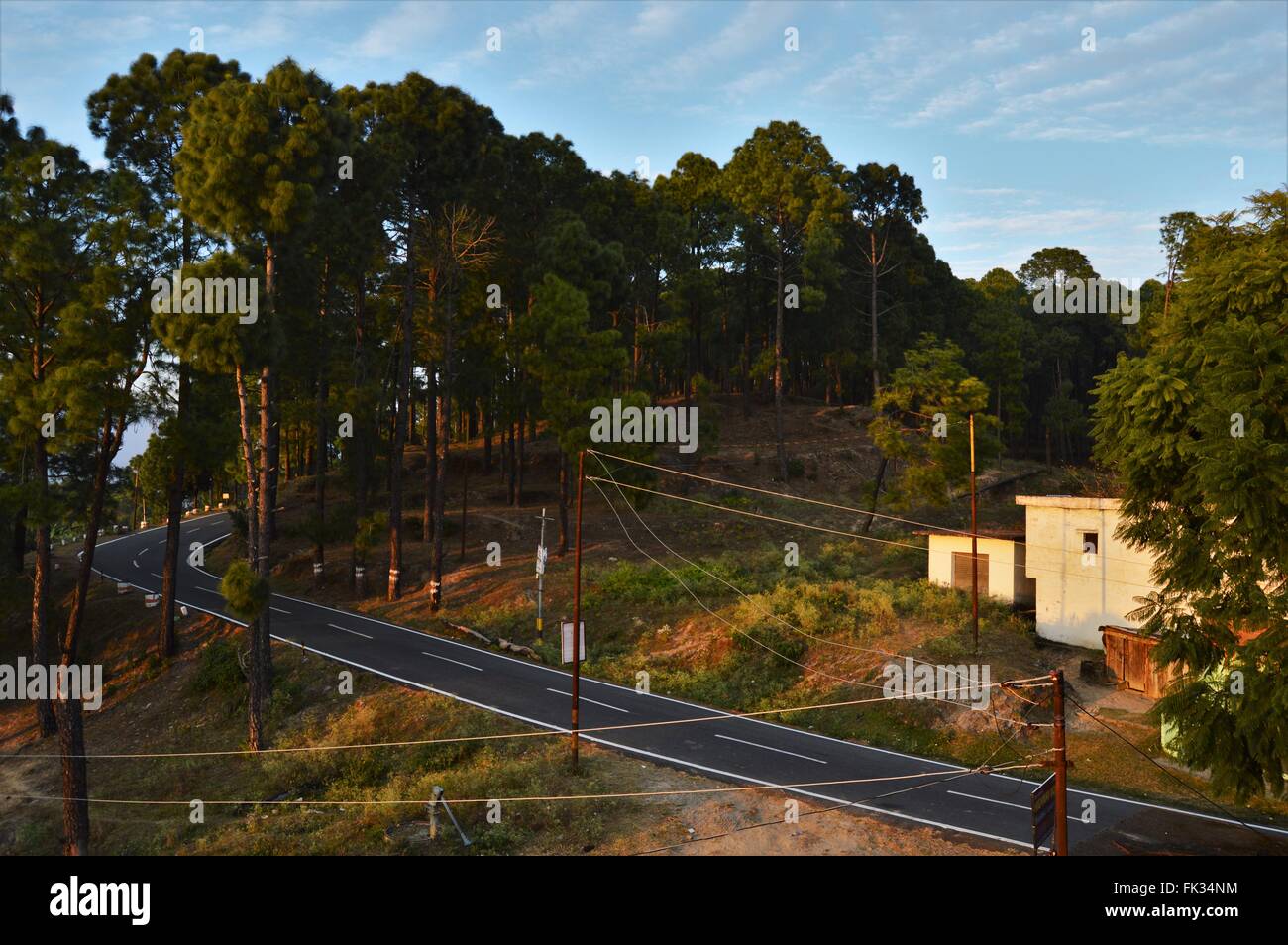 Eine Straße durch den Wald verbinden Lansdowne mit Gumkhal in Uttarakhand, Indien Stockfoto