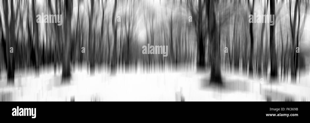 Hintergrund unscharf Wald im Winter (vertikale Blur) Stockfoto