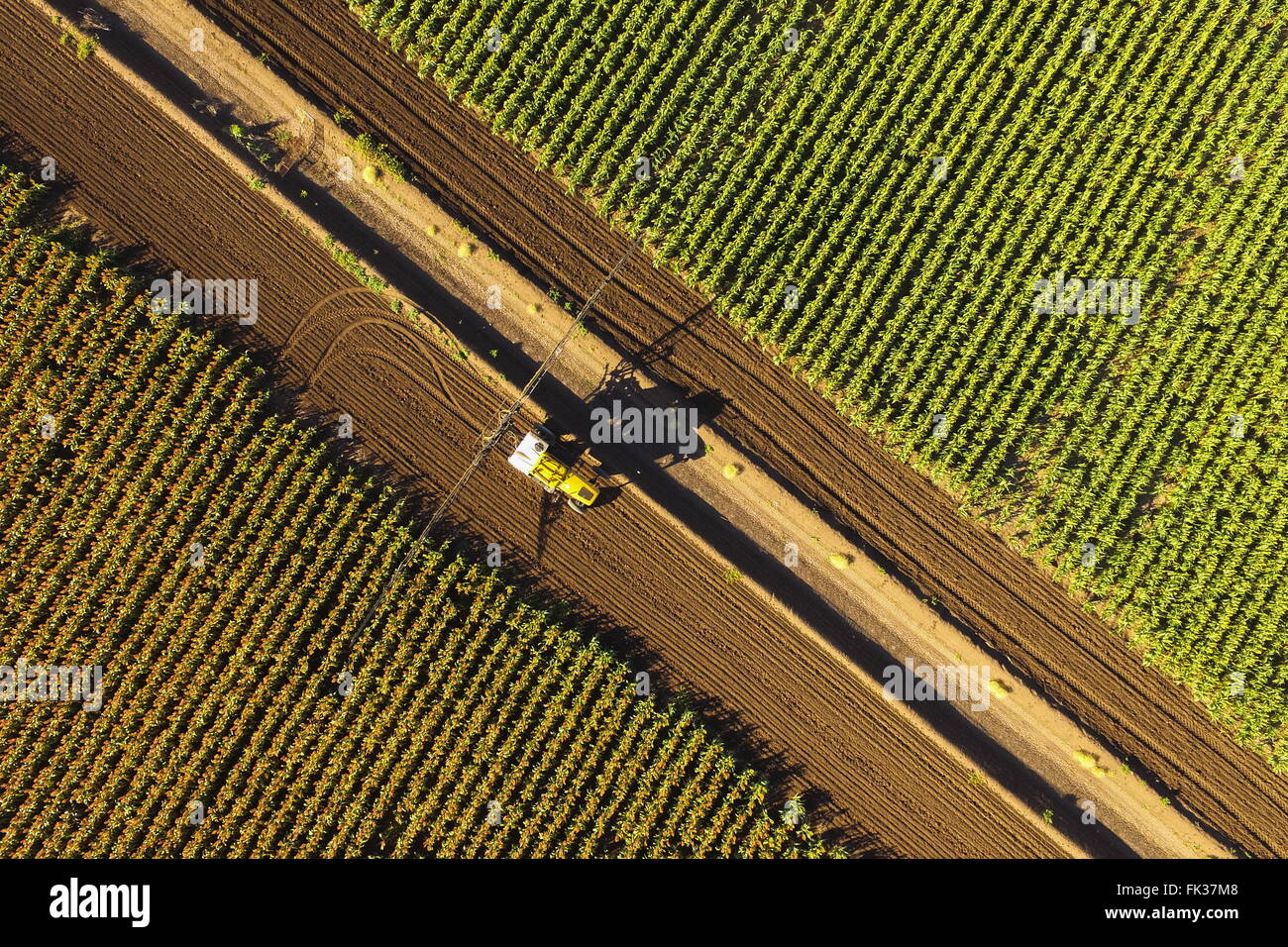 Eine Luftaufnahme eines Landwirts sprühen seine Sorghum Ernte in der Nähe von Breeza an der Liverpool Plains, New South Wales, Australien. Stockfoto