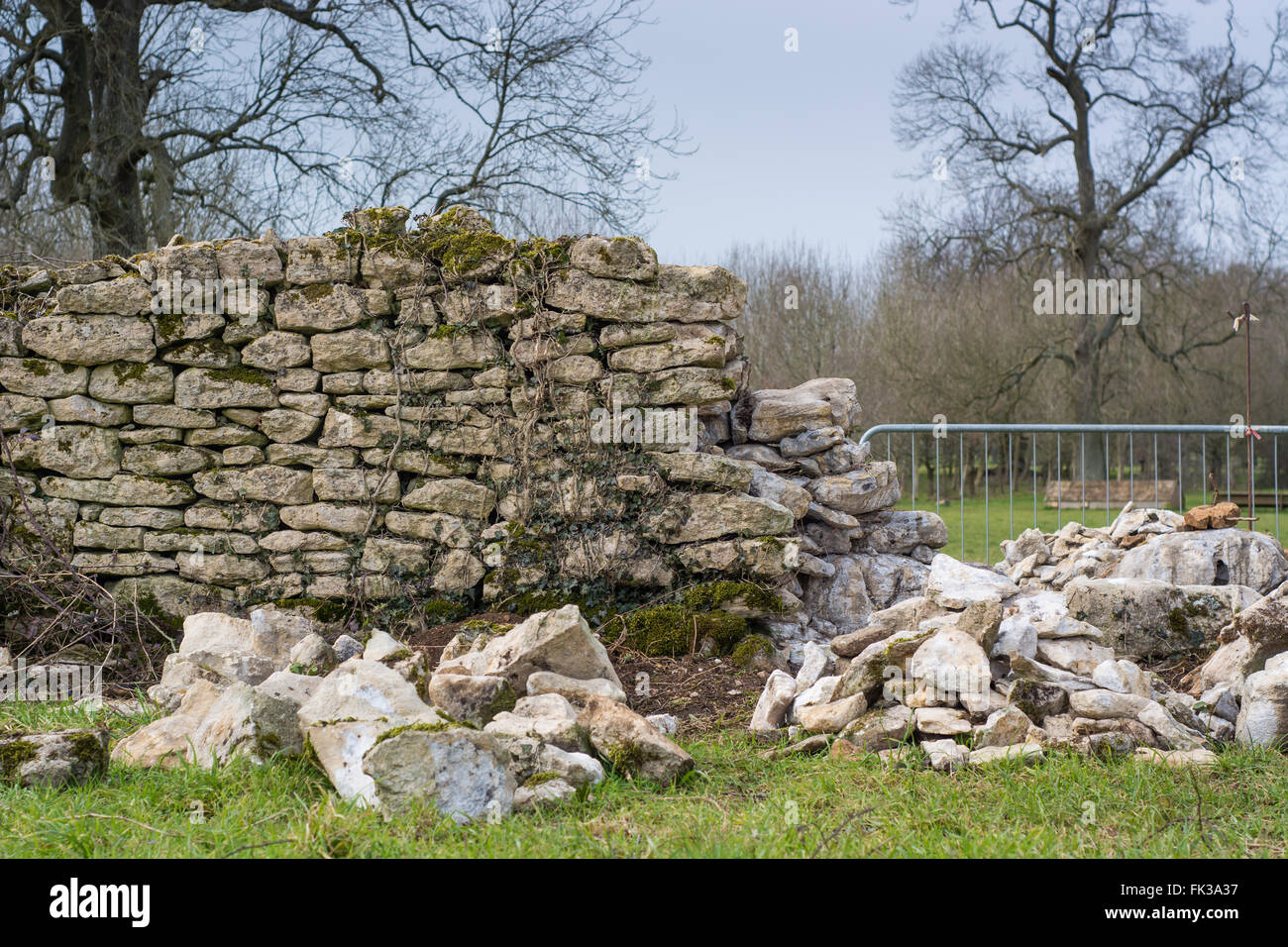 Trockenmauer repariert wird. Eine traditionelle Wand in der Reparatur auf Ackerland in Somerset, England, UK Stockfoto