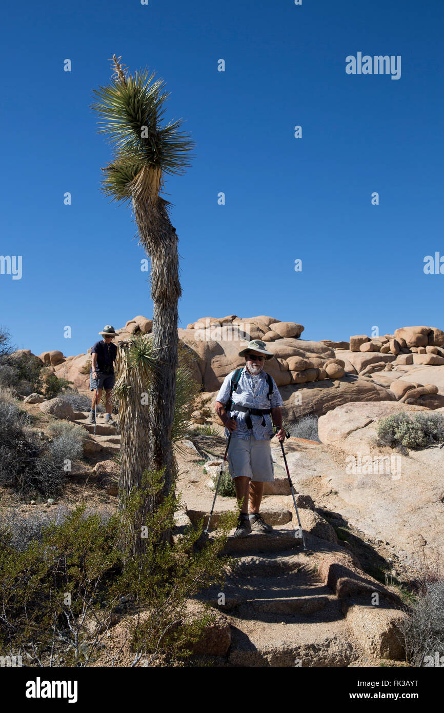 Paare, die auf einem Pfad bei Jumbo Rocks, Joshua Tree Nationalpark, Kalifornien, USA Stockfoto