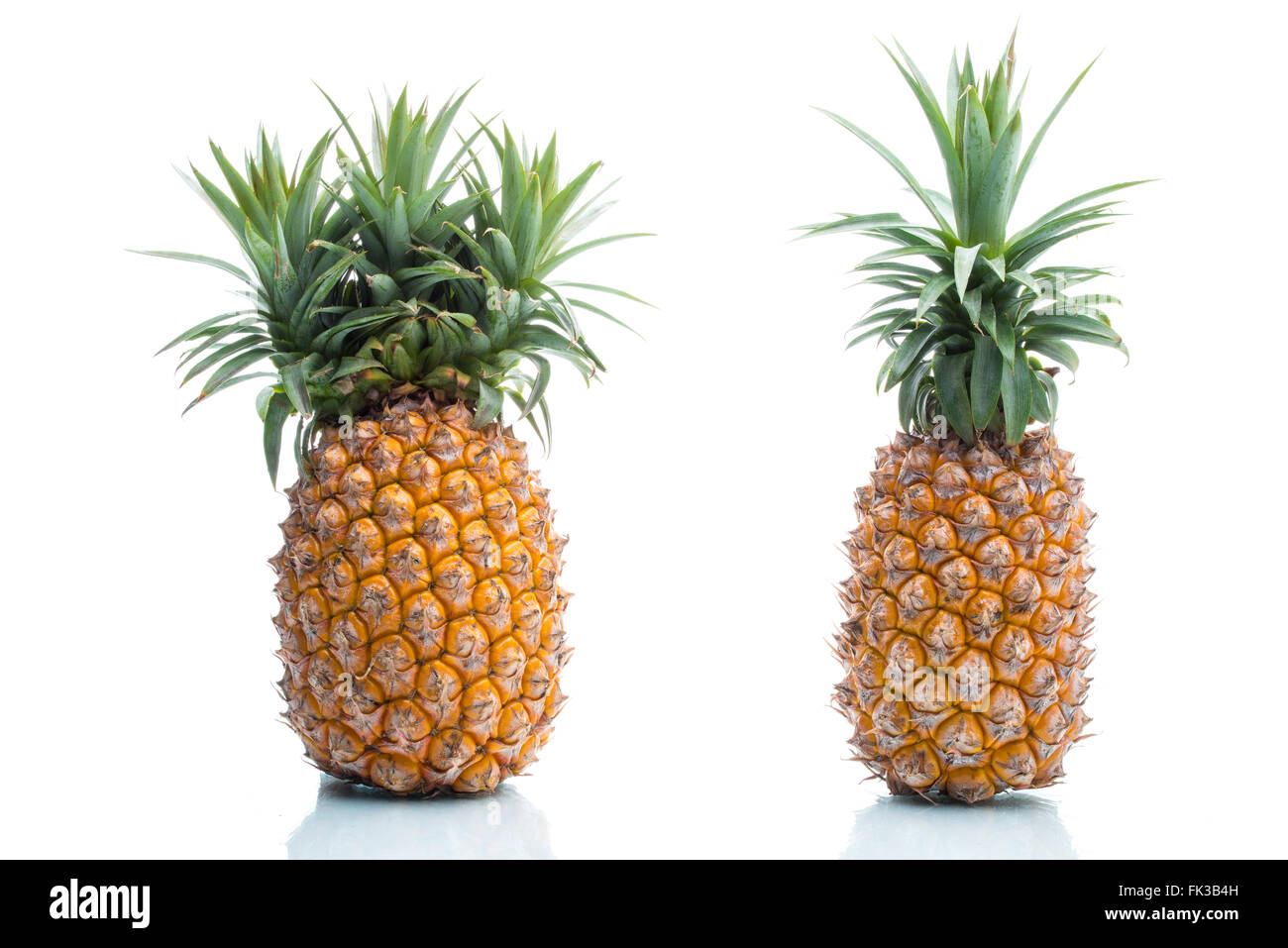 Gentechnik, Ananas, Obst, Modifikation, seltsam, surreal, Erfindung Stockfoto