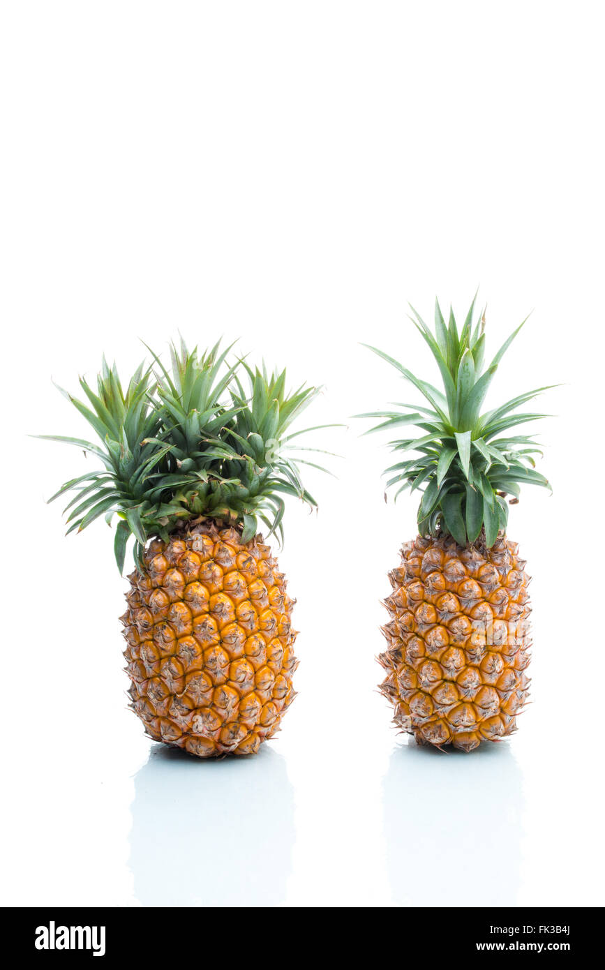 Gentechnik, Ananas, Obst, Modifikation, seltsam, surreal, Erfindung Stockfoto