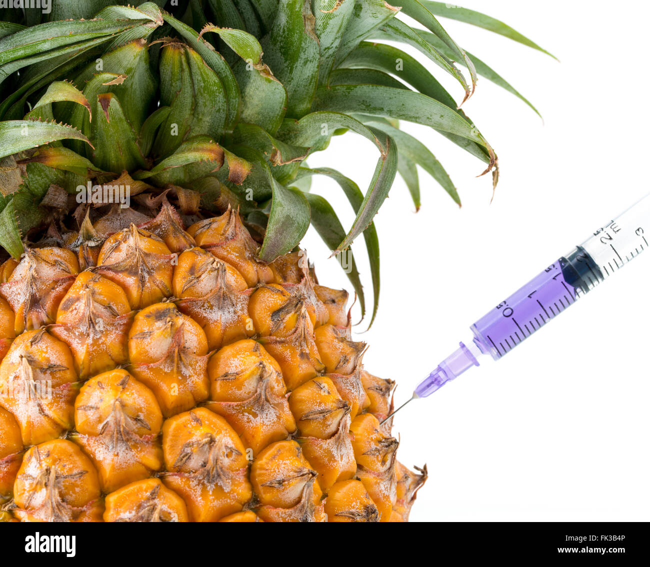 Gentechnik, Ananas, Obst, Modifikation, seltsam, surreal, Erfindung Stockfoto