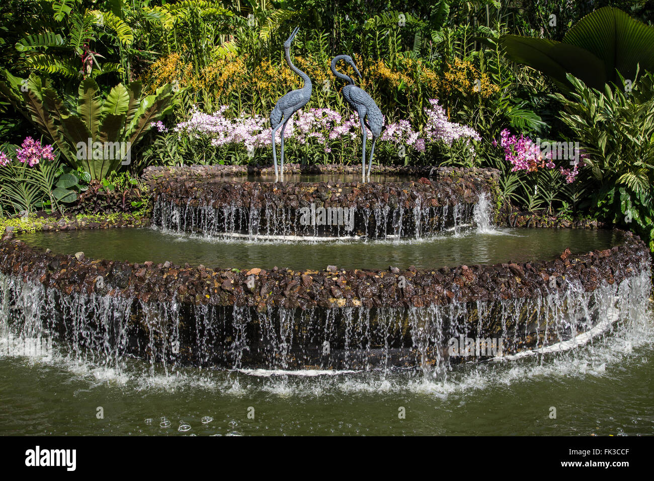 Kran-Brunnen im Singapore Botanic Garden - eine große Besucherattraktion bietet eine Reihe von botanischen & Gartenbau Angebot Stockfoto