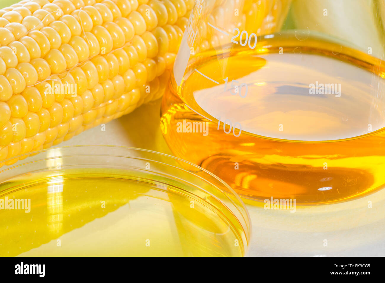 Biokraftstoff oder Maissirup, Benzin, Energie, Umweltschützer Stockfoto
