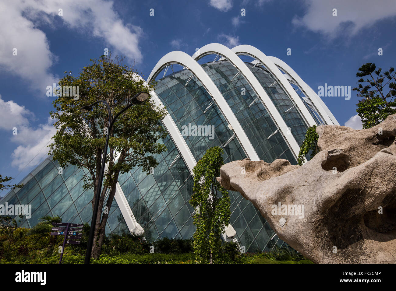 Singapur Nebelwald Exterior - Singapur-Nebelwald ist im Nebel in der gekühlten Innenraum verschleiert. Stockfoto