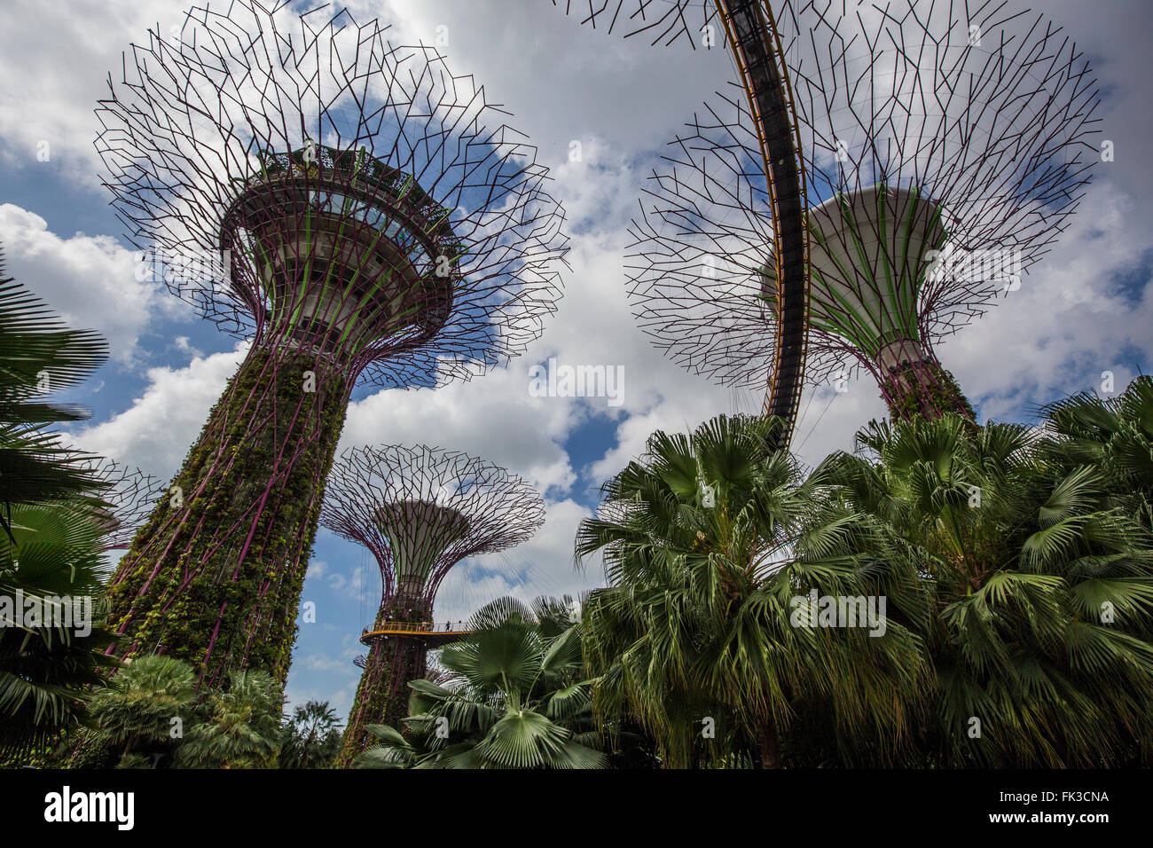 SuperTree Grove ist eine einzigartig gestaltete vertikalen Garten, bestehend aus künstlichen "Bäume" im Garten von der Bay-Singapore Stockfoto
