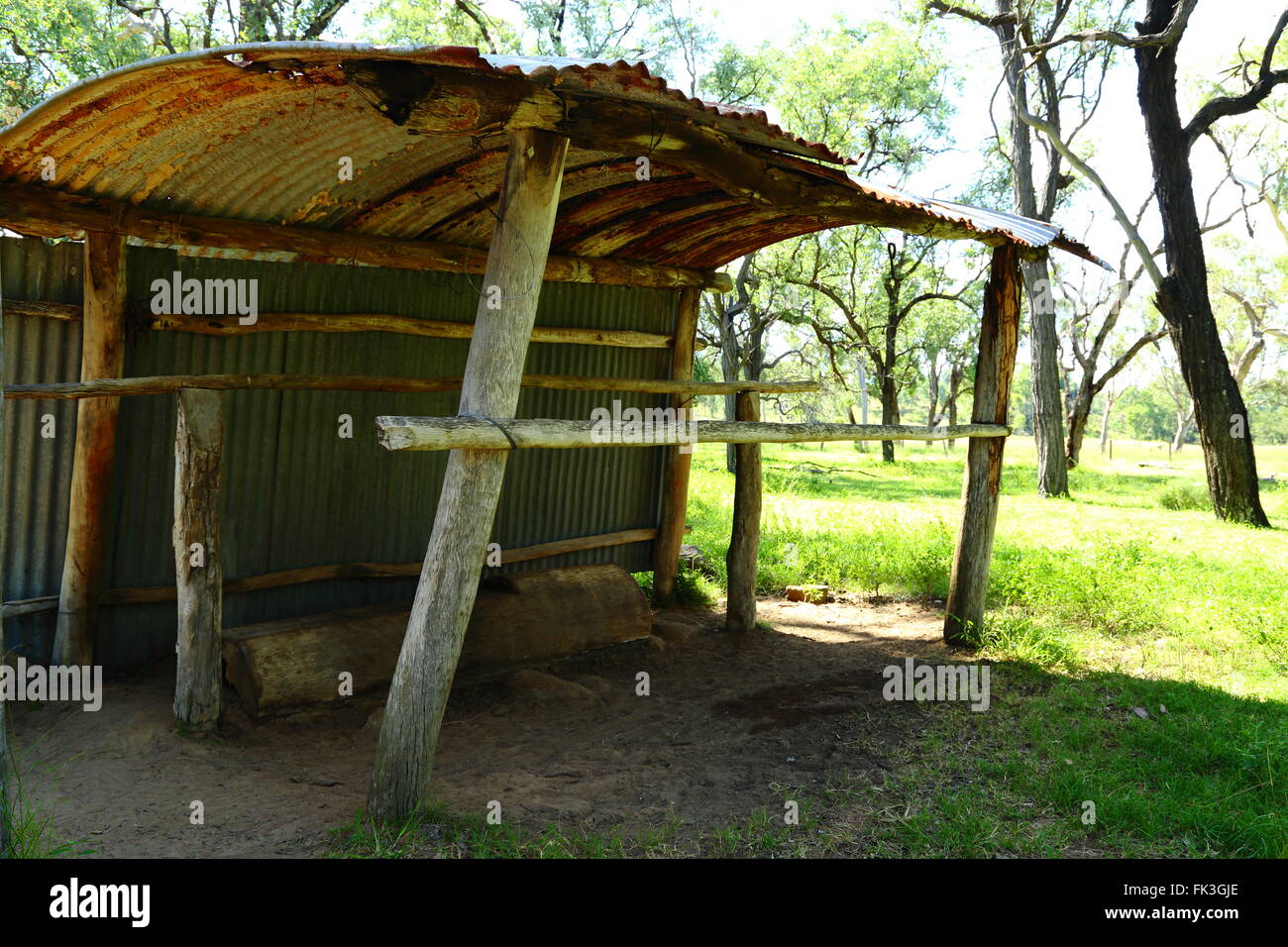 Einem alten Schuppen für Sättel und andere Tack auf einer Farm in Queensland, Australien. Stockfoto