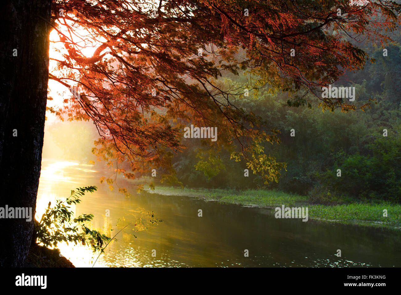 Sonne aufgehen Stockfoto