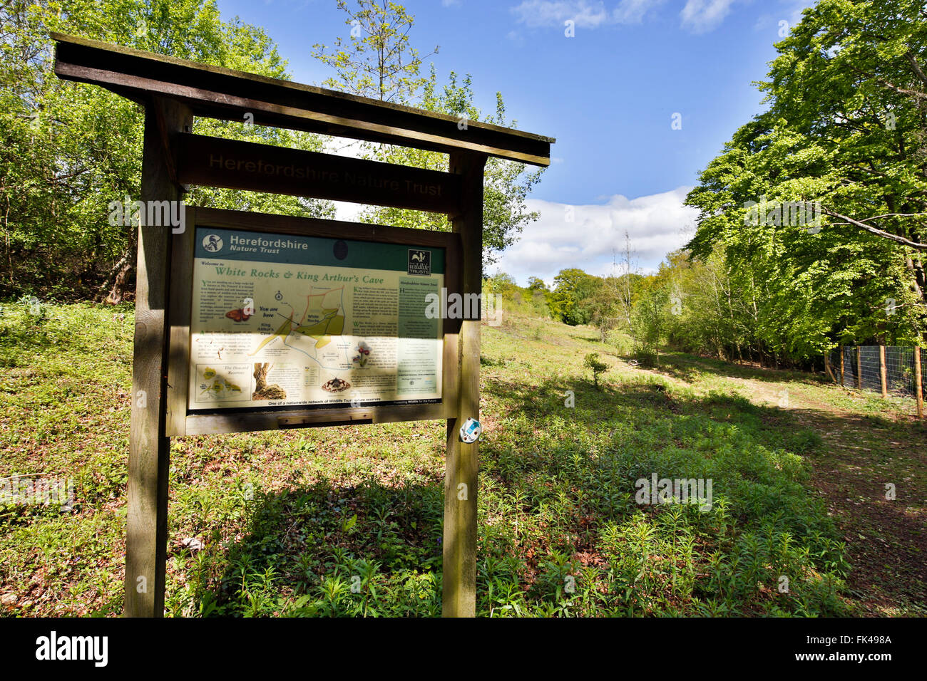 Weiße Felsen; Herefordshire Wildlife Trust Reserve; Schwarzes Brett; UK Stockfoto