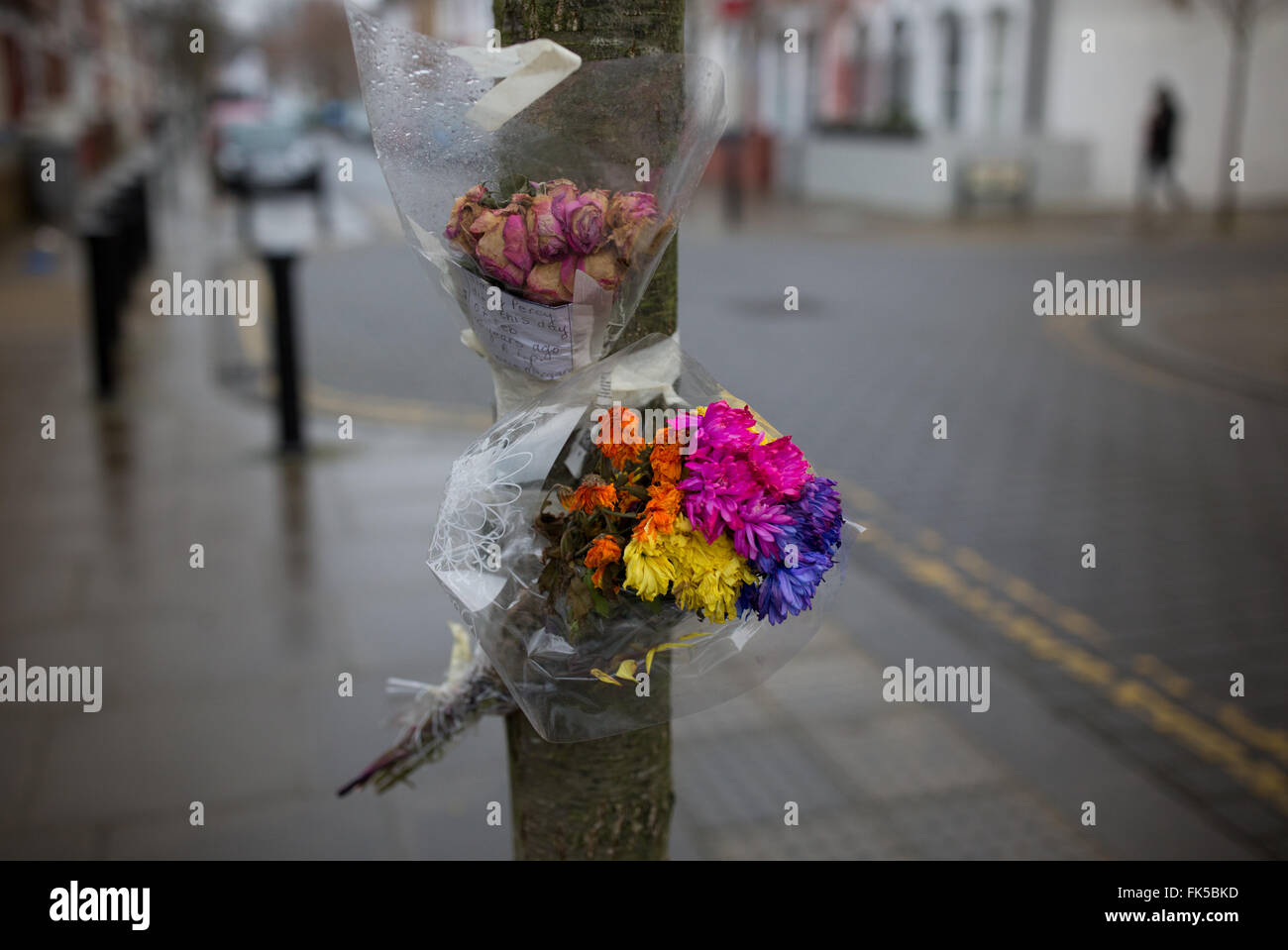 Eine florale Hommage ist an einen Baum im Nordwesten Londons mit Klebeband. Stockfoto
