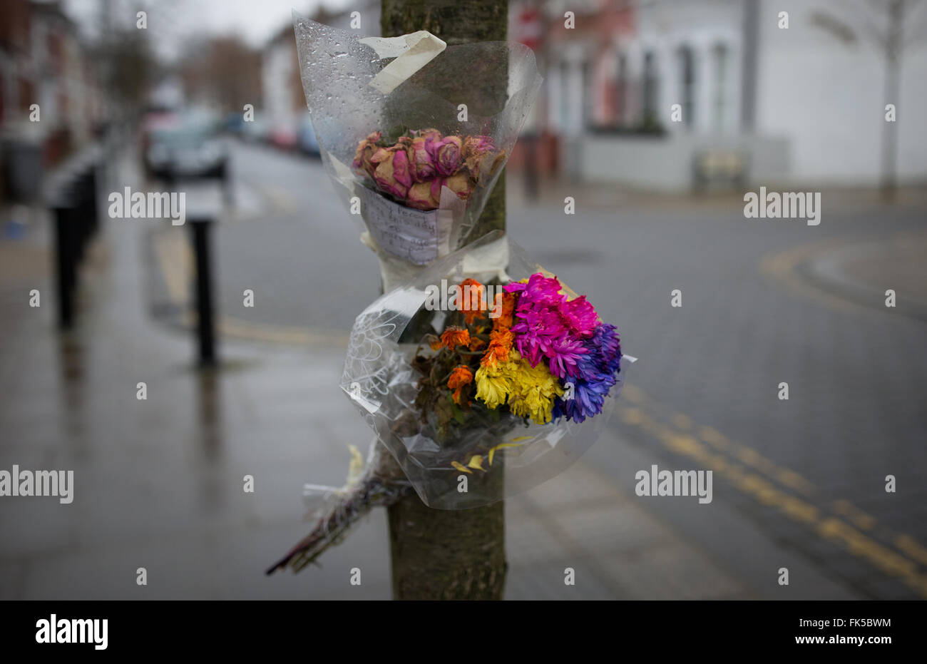 Eine florale Hommage ist an einen Baum im Nordwesten Londons mit Klebeband. Stockfoto