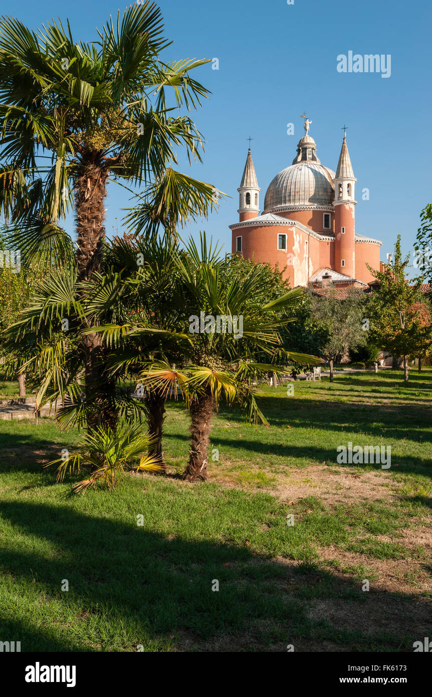 Venedig, Italien. Palmen wachsen im Garten des Kapuzinerklosters Il Redentore (von Palladio), auf der Giudecca Stockfoto